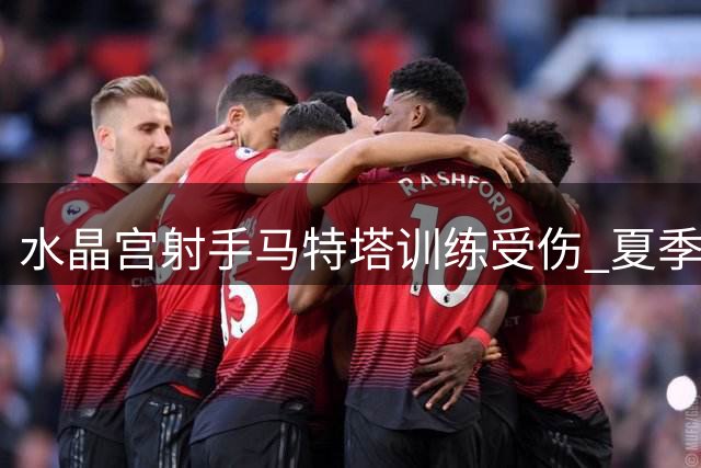 水晶宫射手马特塔训练受伤 夏季转会前景蒙阴影